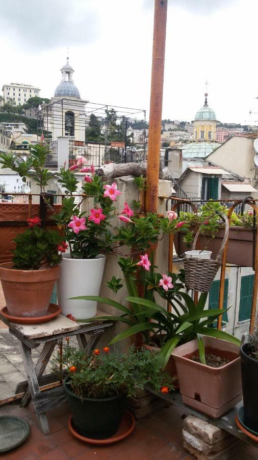 Il Geco Otel Cenova Dış mekan fotoğraf