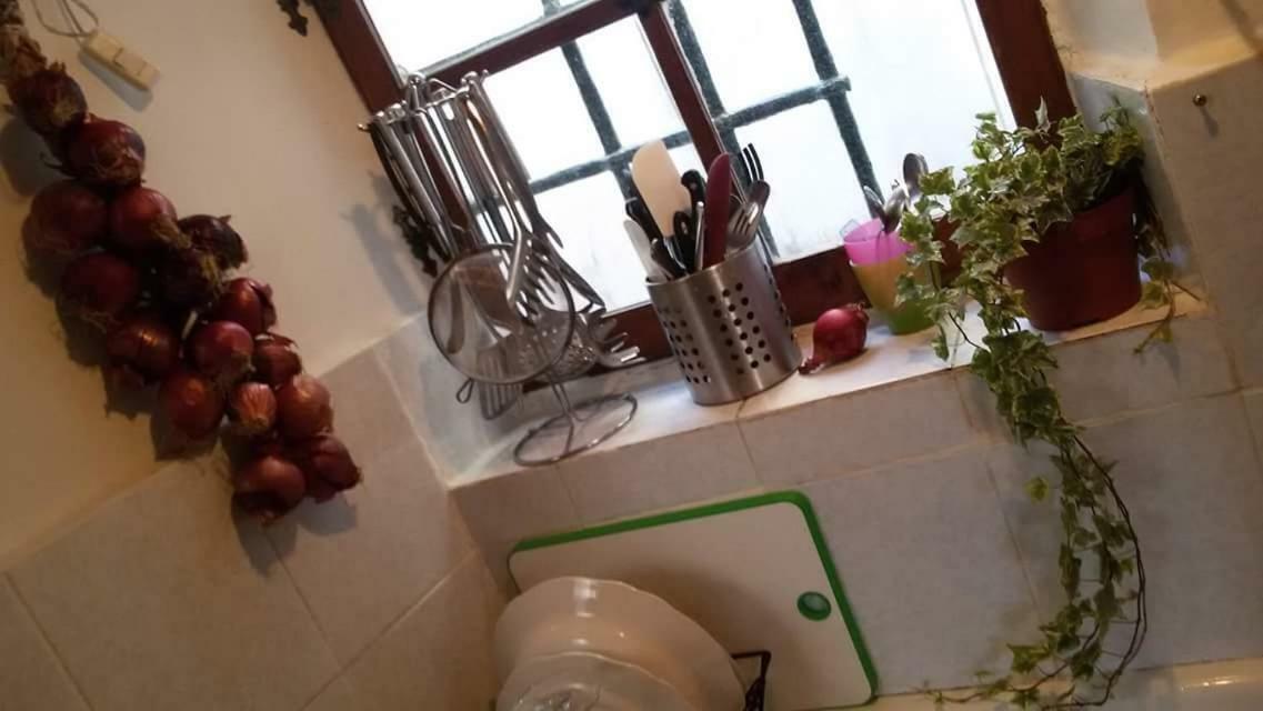 Il Geco Otel Cenova Dış mekan fotoğraf